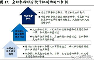 政策视角下城投严监管冲击与投资管理框架演变