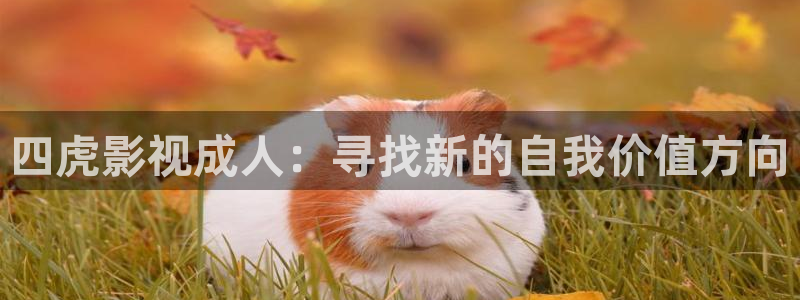秋霞影院天堂