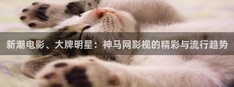 天堂影院电视剧全集在线观看