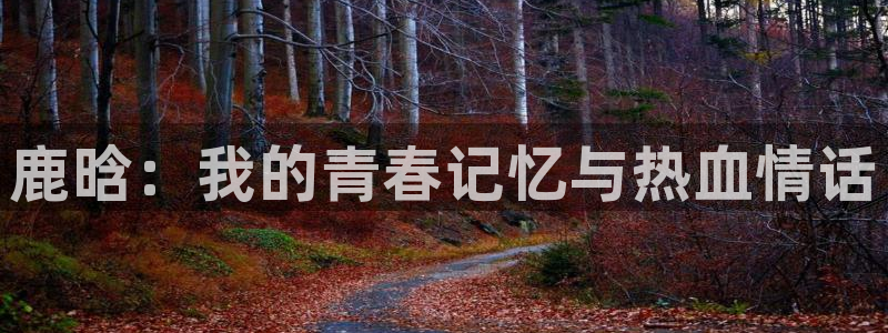 静漫天堂是什么东西