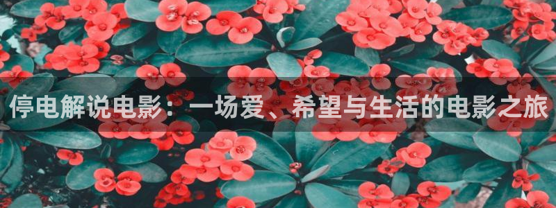 麻豆电影天堂网