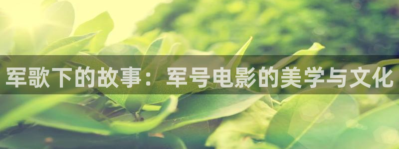 电影天堂6080yy电影在现看