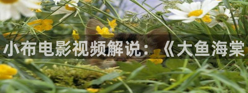 神马影院,天堂网
