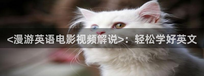 深夜天堂视频在线观看