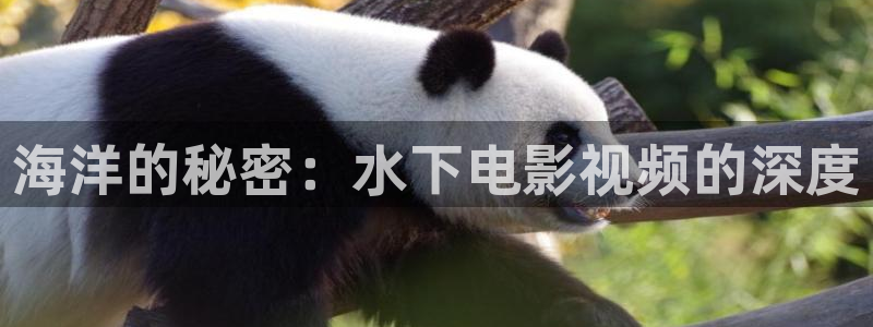 光棍天堂手机在线影院
