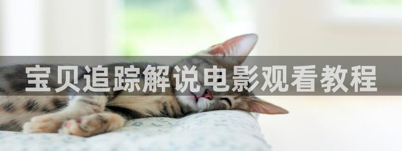 午夜影院男人的天堂