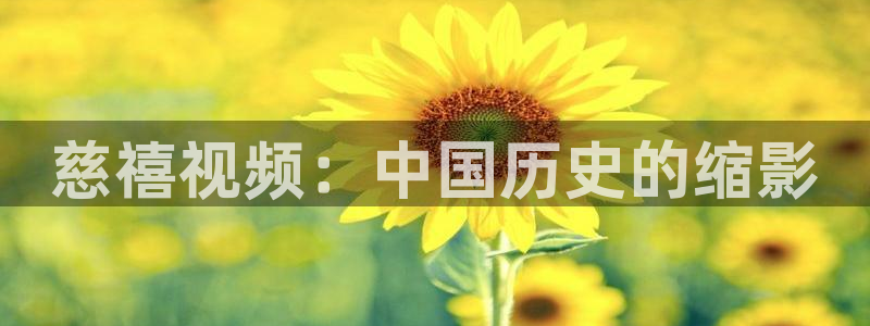29天堂电影院在线观看
