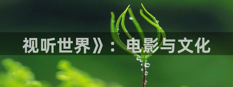 新闻图片