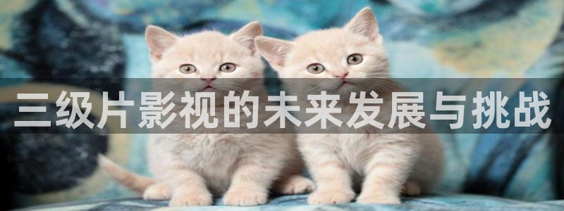 成人午夜电影天堂