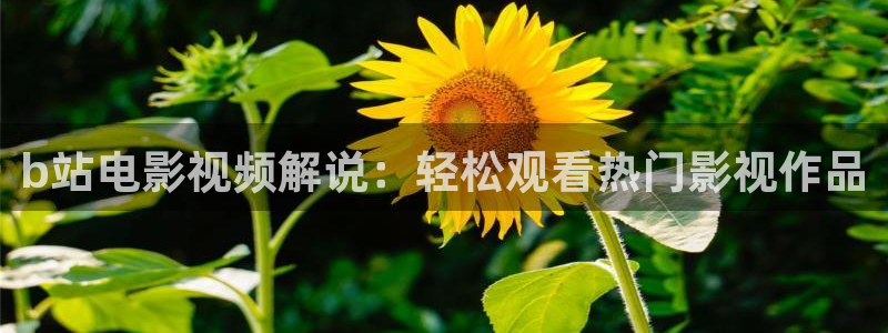 光棍天堂影院免费观看高清