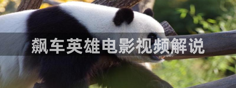 桔子电影天堂