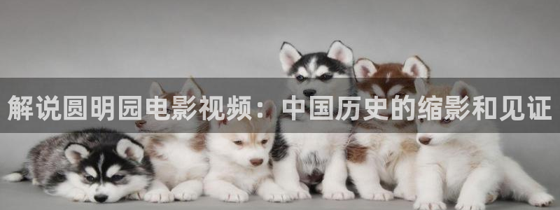 午夜天堂影片