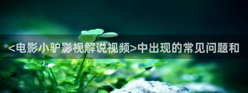 静漫天堂官网