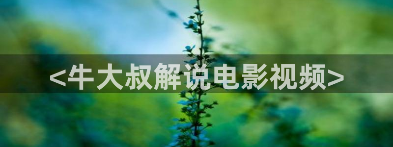 神马电影午夜天堂