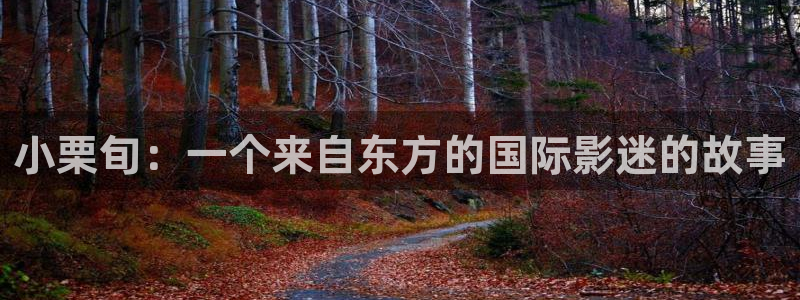 天堂影院电视剧全集在线观看红桃