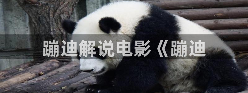 光棍影院天堂社区