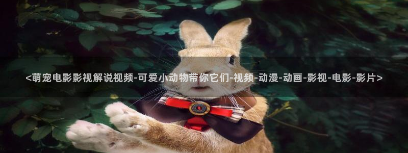 天堂影院免费观看电影电视剧