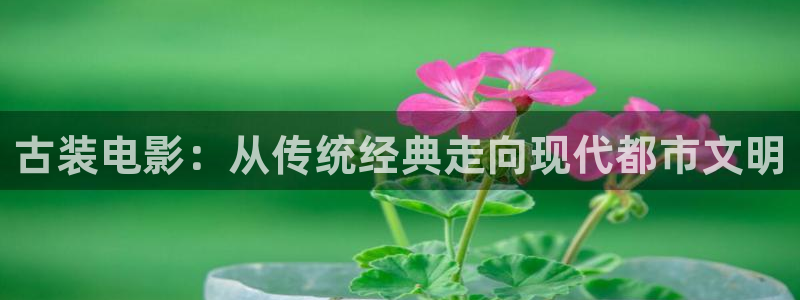 女人午夜精品久久久久久毛片天堂影视