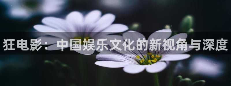 男人的天堂午夜影院
