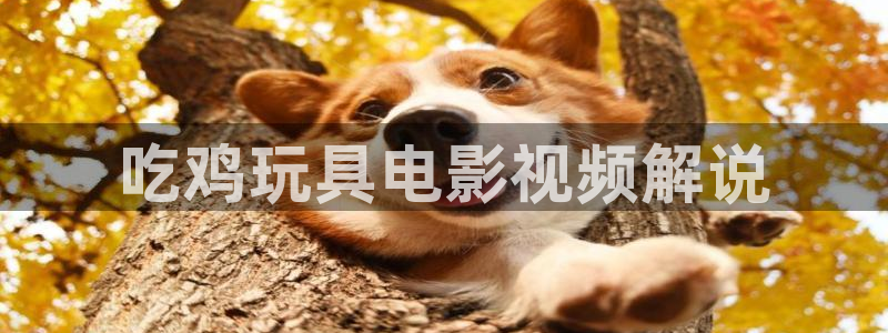光棍天堂影院手机版免费观看